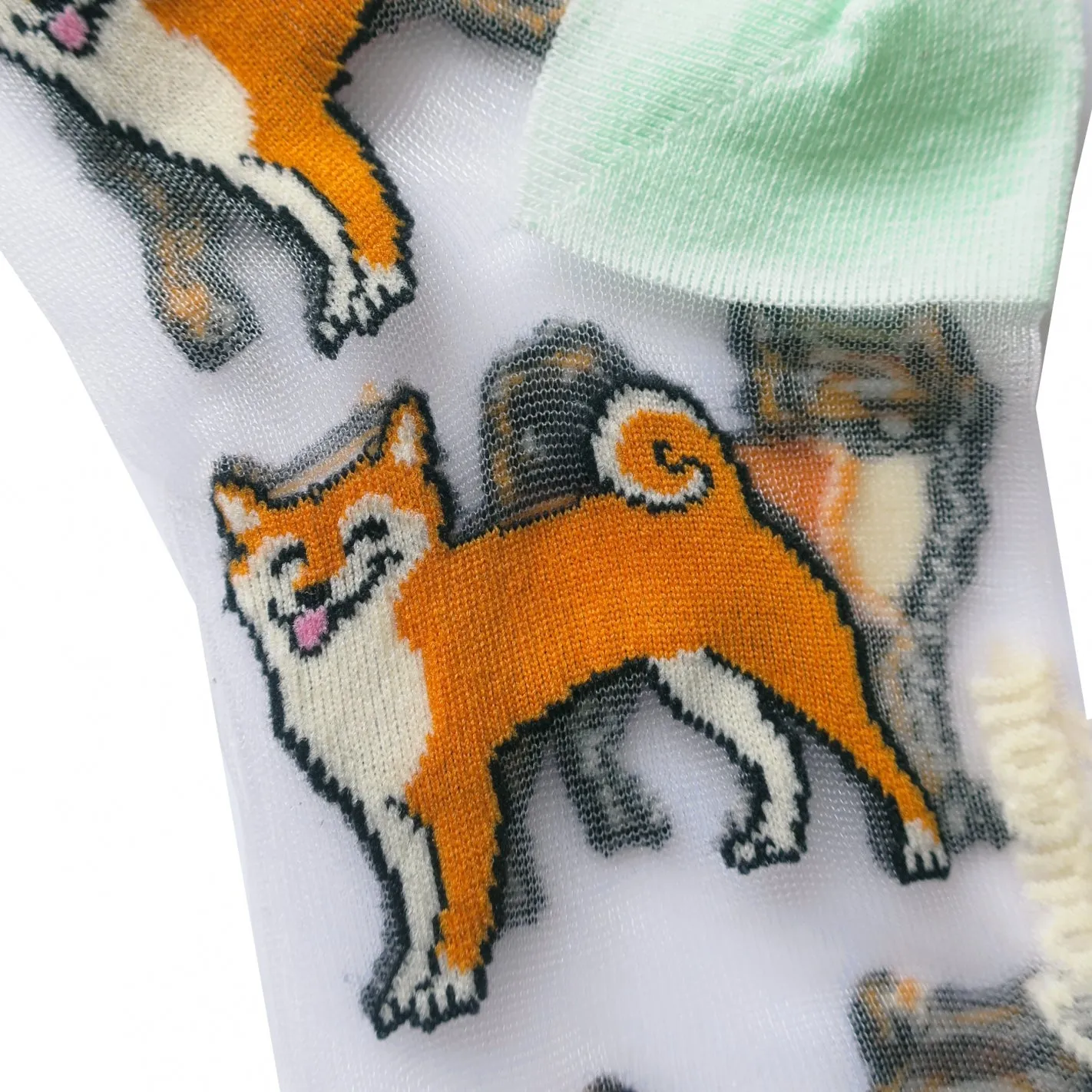 Chaussettes Transparentes Shiba