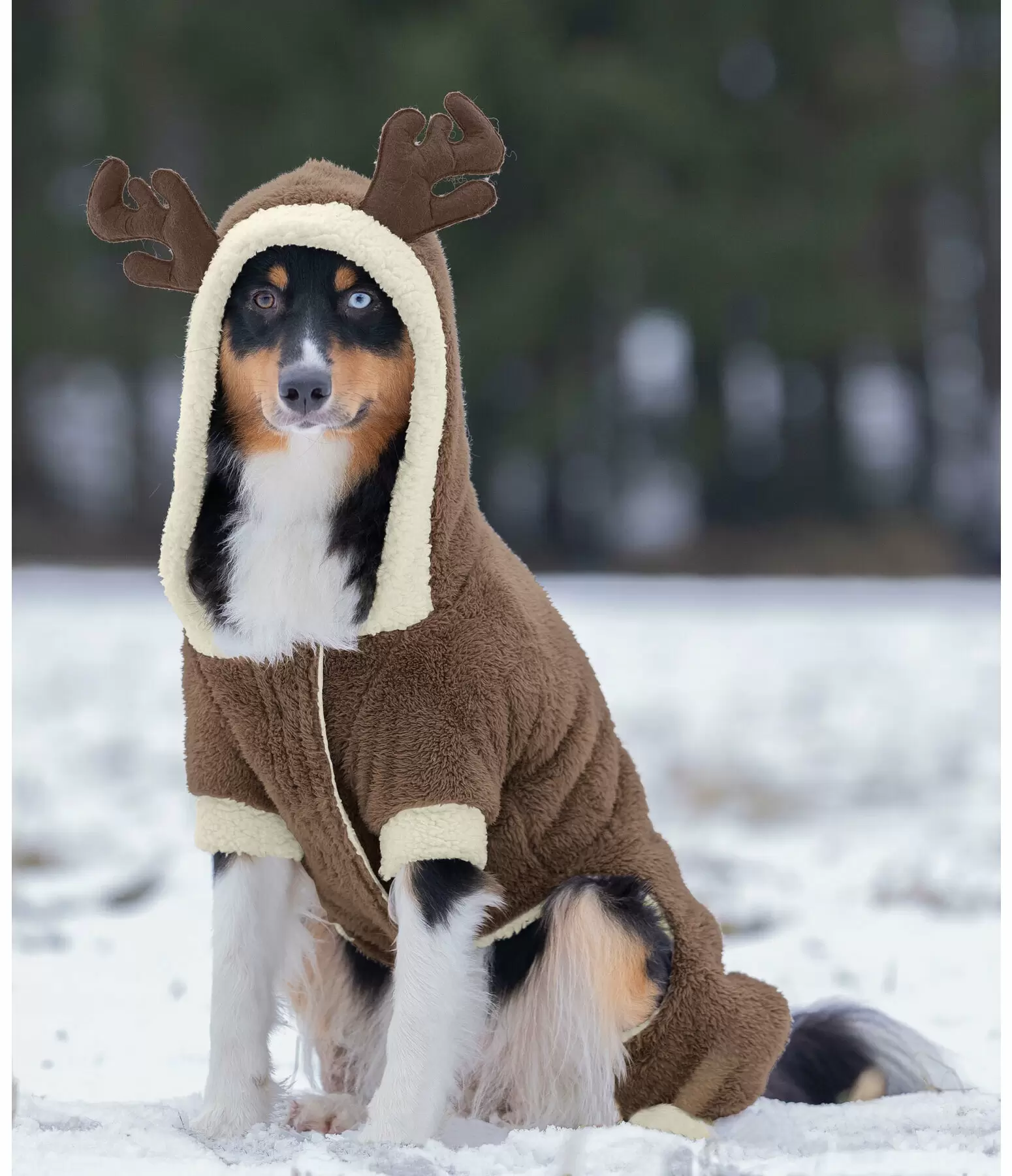 Combinaison douillette pour chien  Rudolph