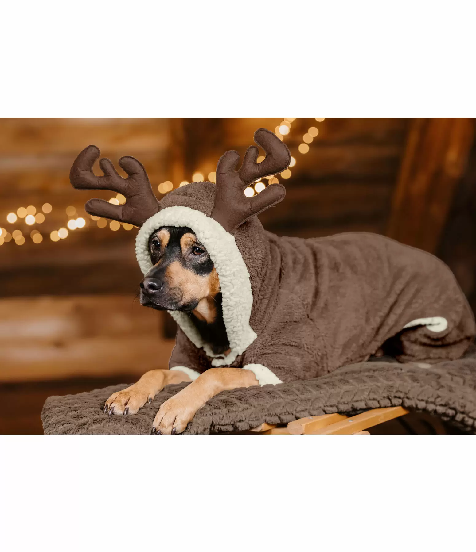 Combinaison douillette pour chien  Rudolph