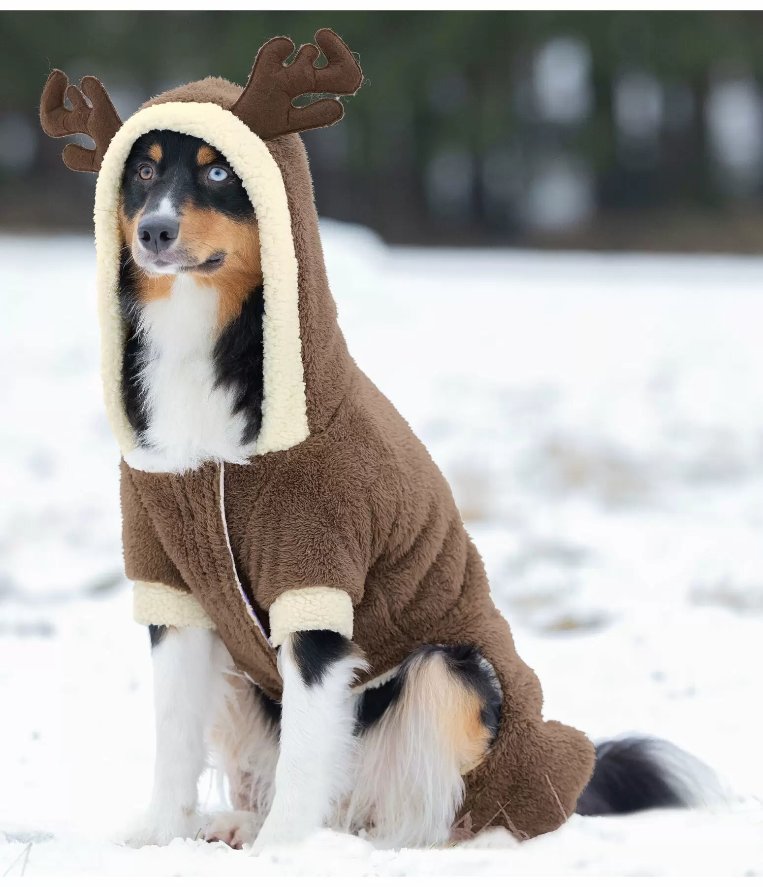 Combinaison douillette pour chien  Rudolph