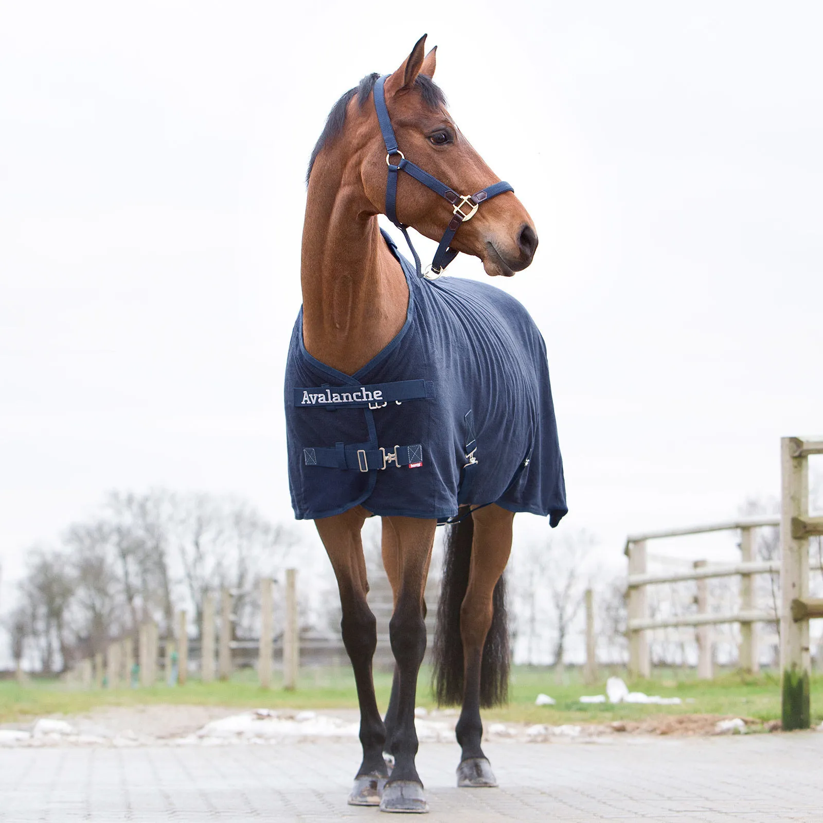 Couverture polaire Avalanche Pro Horze pour Cheval et Poney