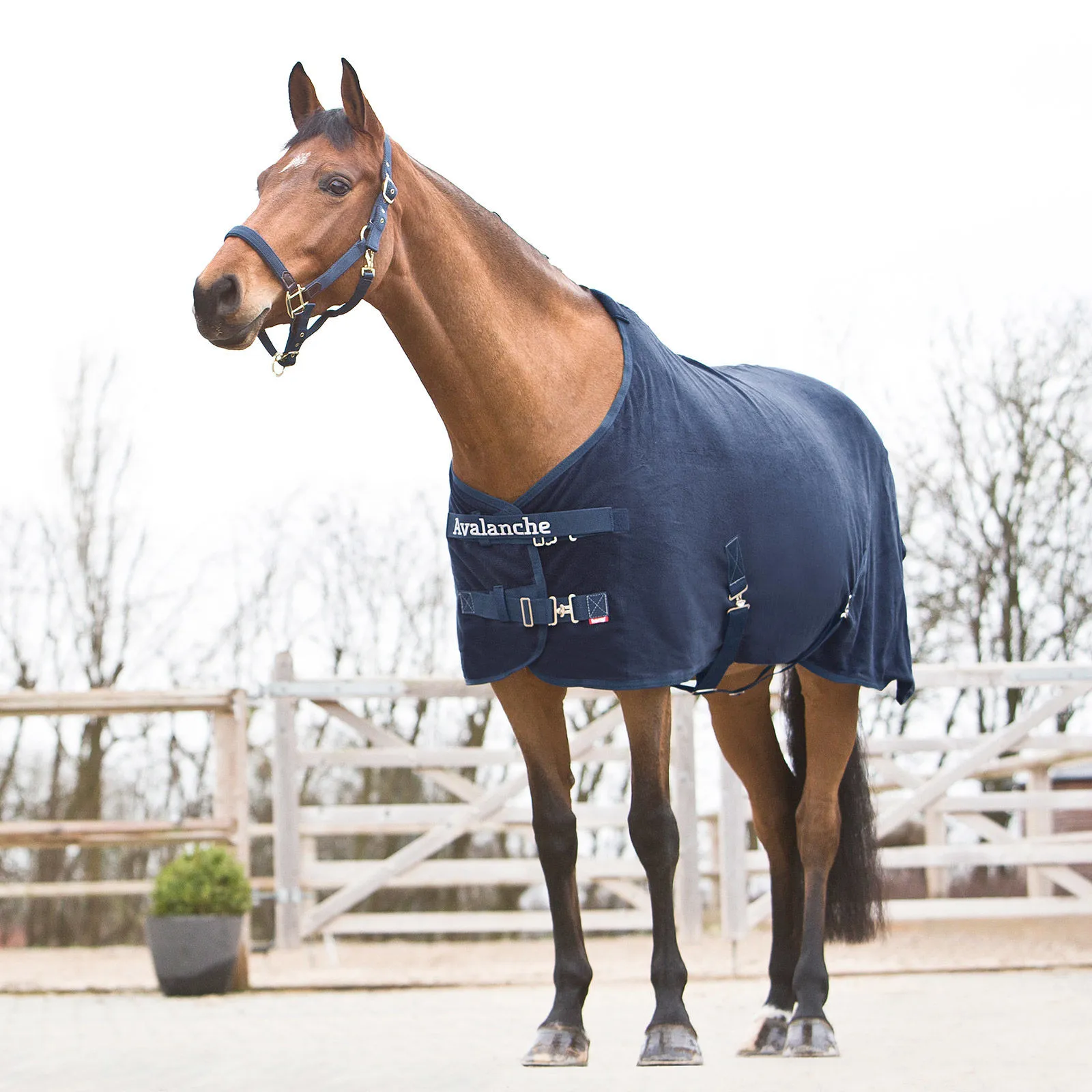 Couverture polaire Avalanche Pro Horze pour Cheval et Poney