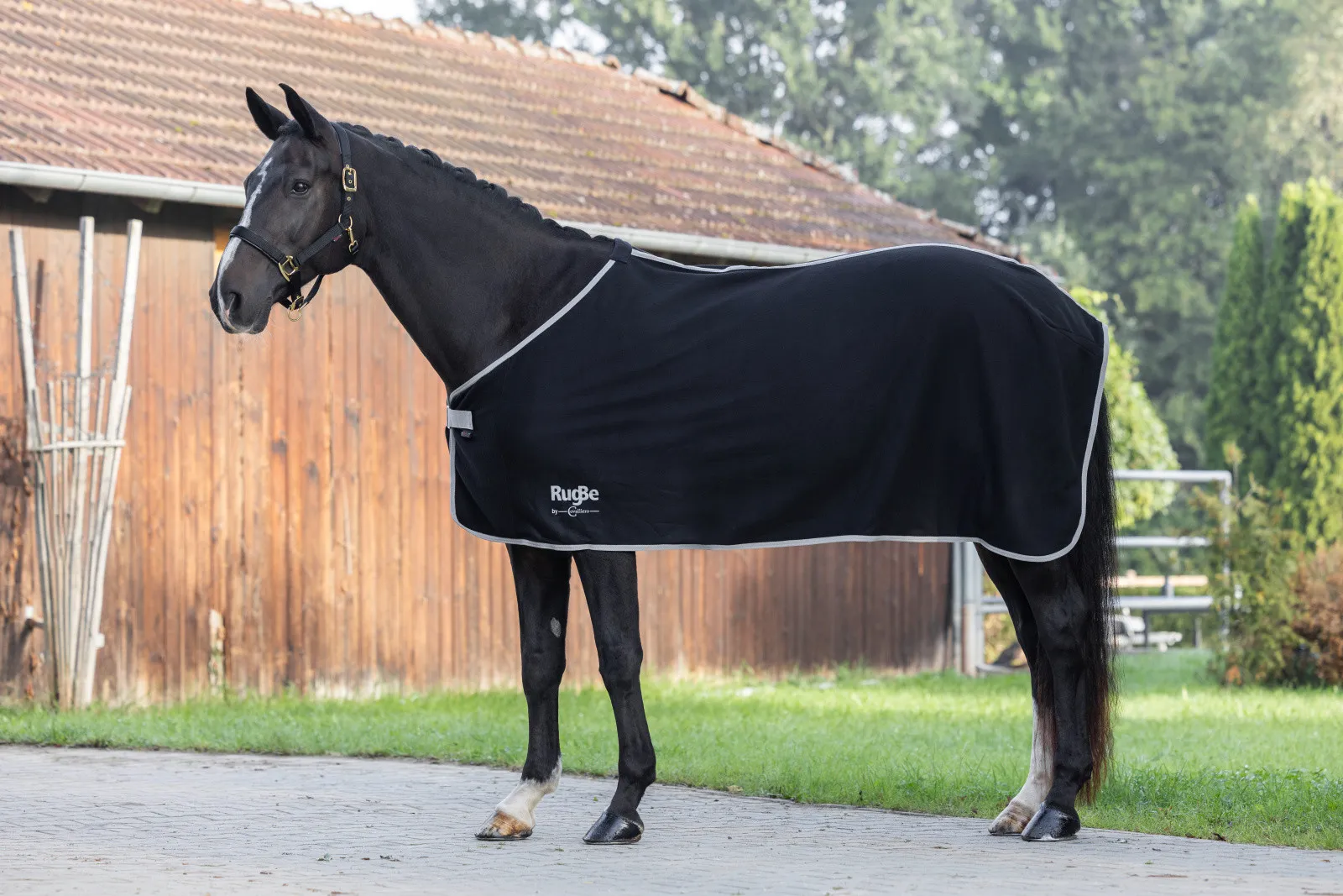 Couverture polaire RugBe Economic Covalliero pour Cheval