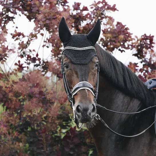 KENTUCKY - Bonnet Wellington Sparkling