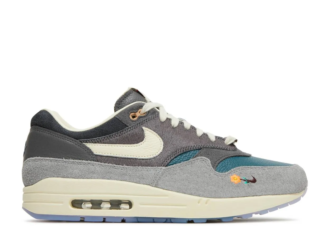 Nike Air Max 1 Kasina Won-Ang Grey